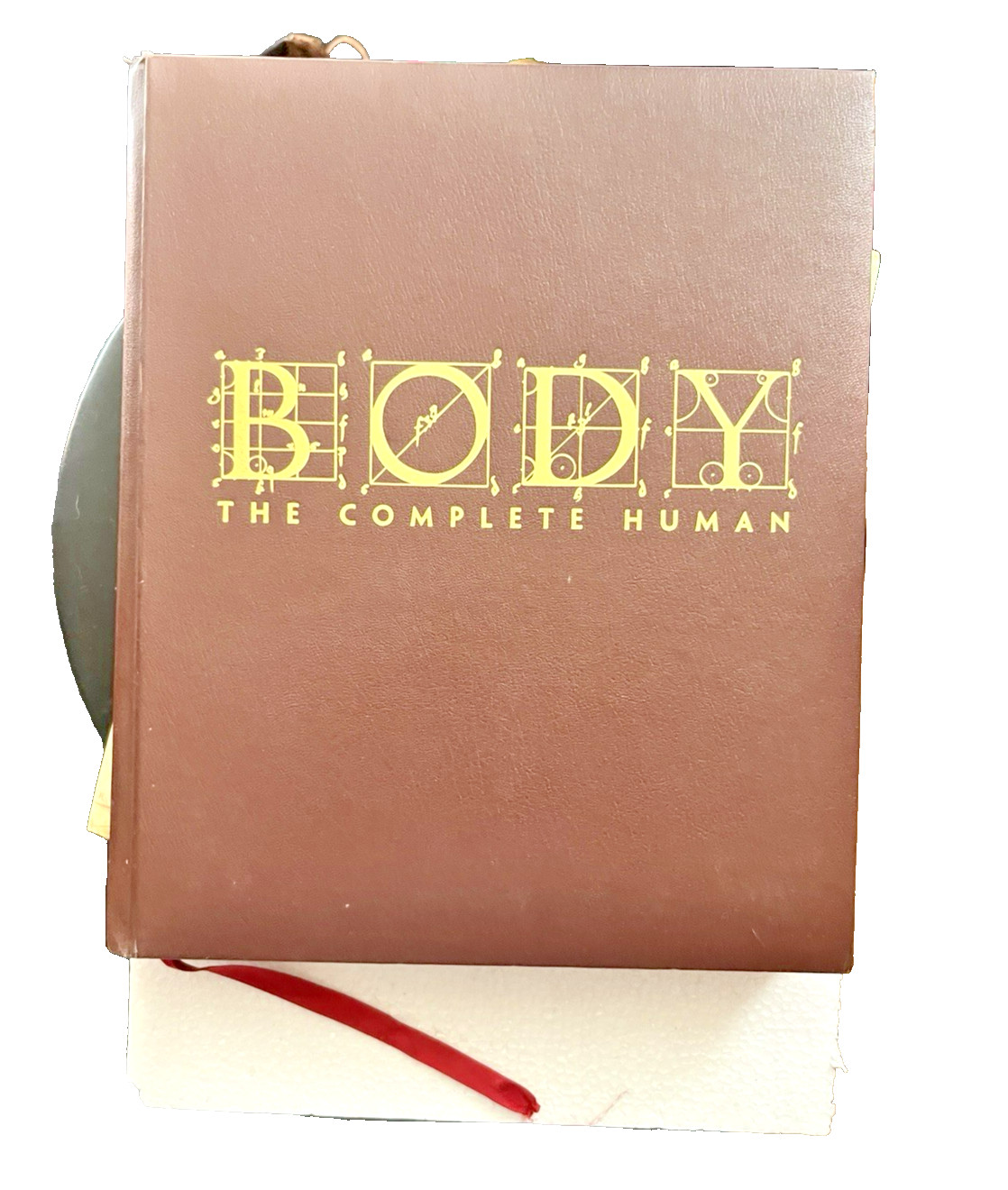 BODY THE COMPLETE HUMAN
