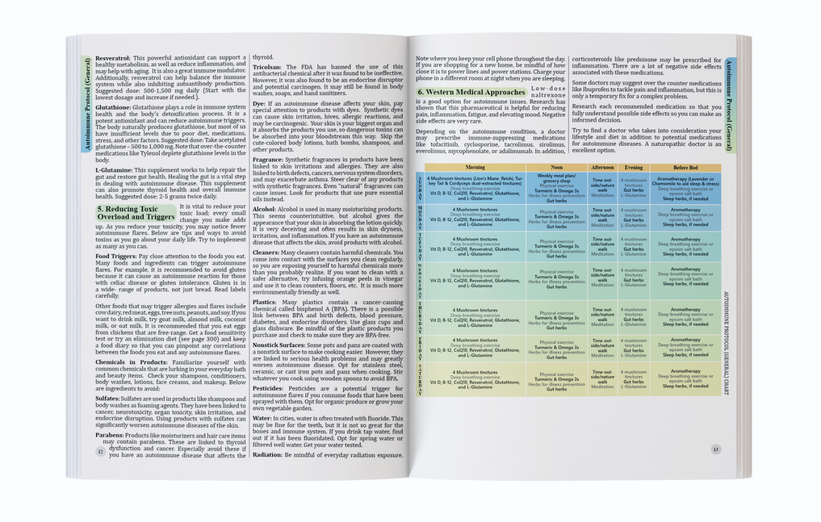 The Holistic Guide to Wellness (paperback with color pictures)