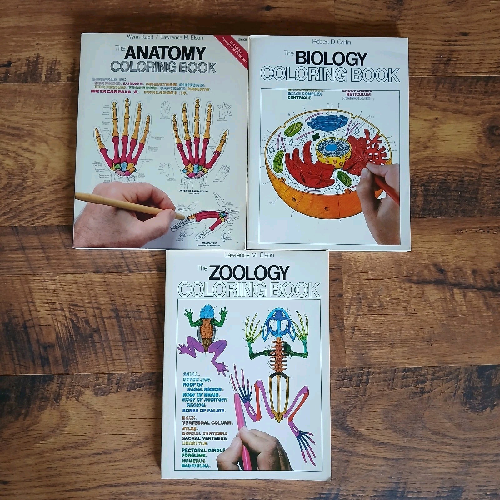 Lot Of 3 Science Coloring Books Biology Anatomy Zoology Vintage