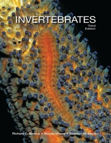 Invertebrates, Third Edition – Hardcover By Brusca, Richard C. – GOOD