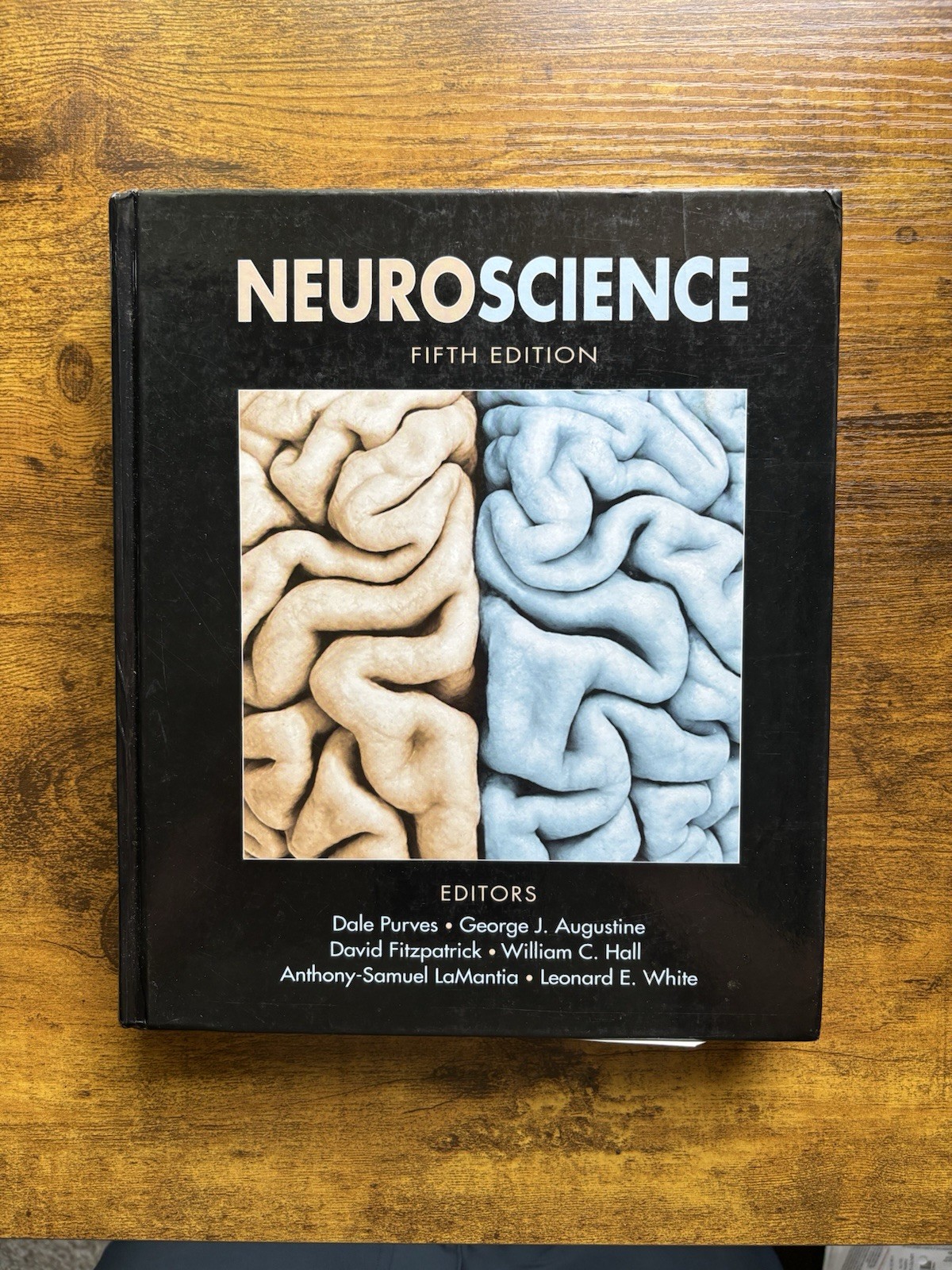 Neuroscience (2011, Hardcover)