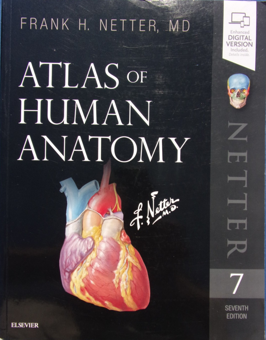 Netter Basic Science Ser. Atlas of Human Anatomy~PAPERBACK, 7 Ed,~Very Good~NICE