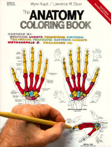 The Anatomy Coloring Book – Paperback By Kapit, Wynn – VERY GOOD