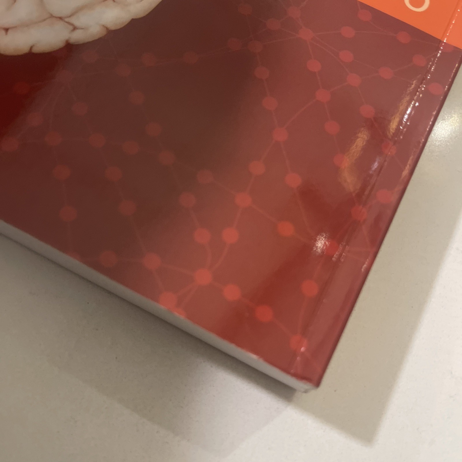 Third edition of Quick Reference Neuroscience Rehabilitation Professionals New