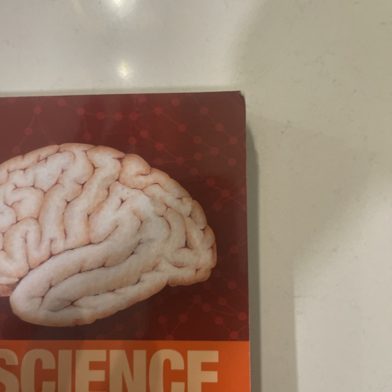 Third edition of Quick Reference Neuroscience Rehabilitation Professionals New