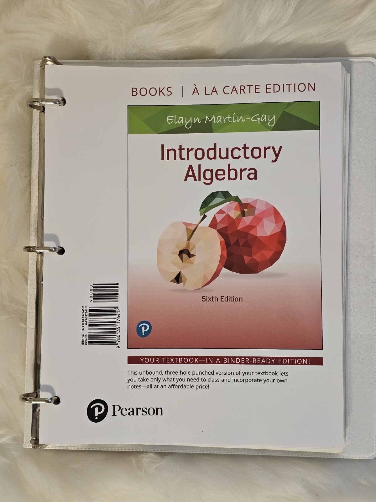 Introductory Algebra, Loose-Leaf 6th Edition by Elayn Martin-Gay (Ringbound)