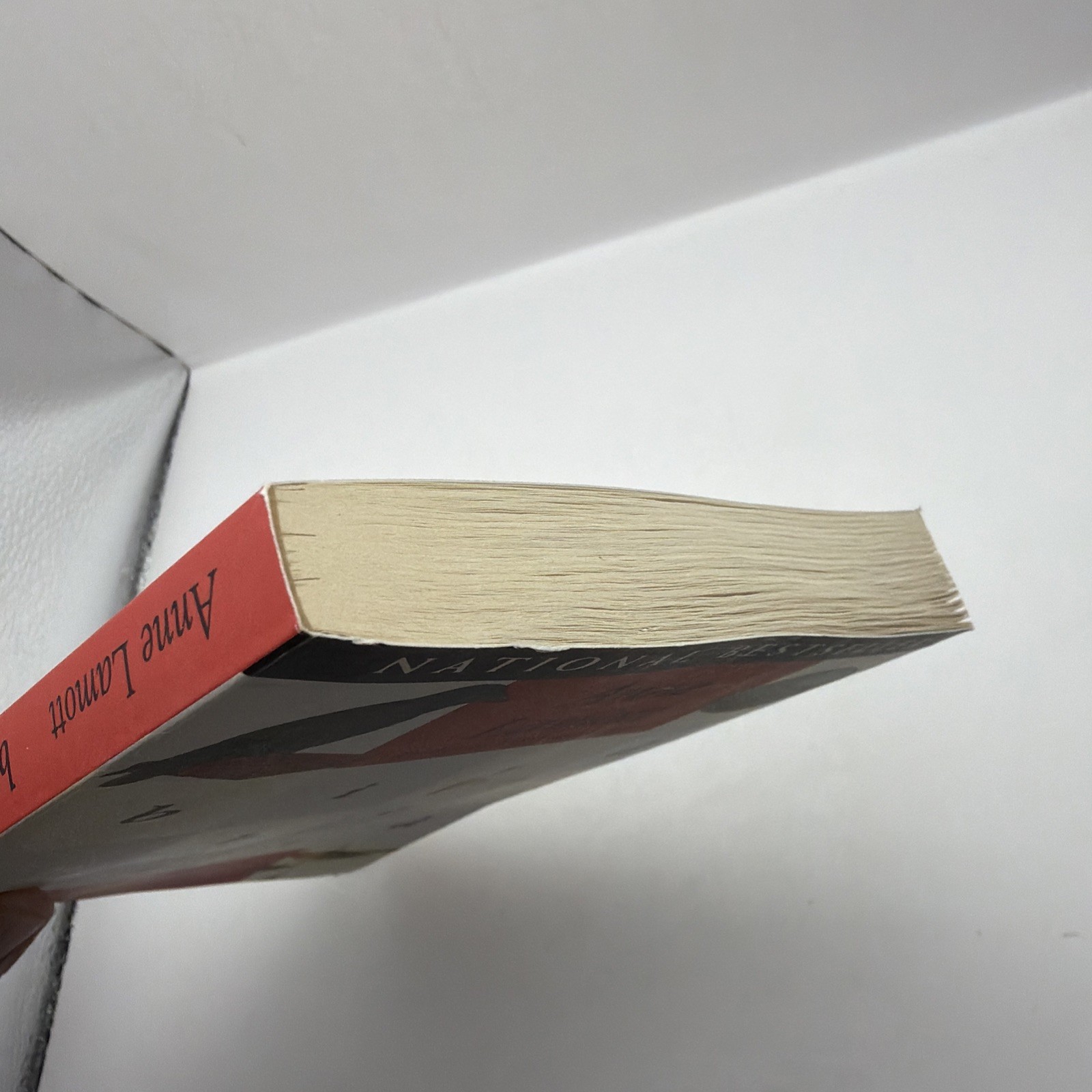 Bird by Bird : Some Instructions on Writing and Life by Anne Lamott (1995, Trade