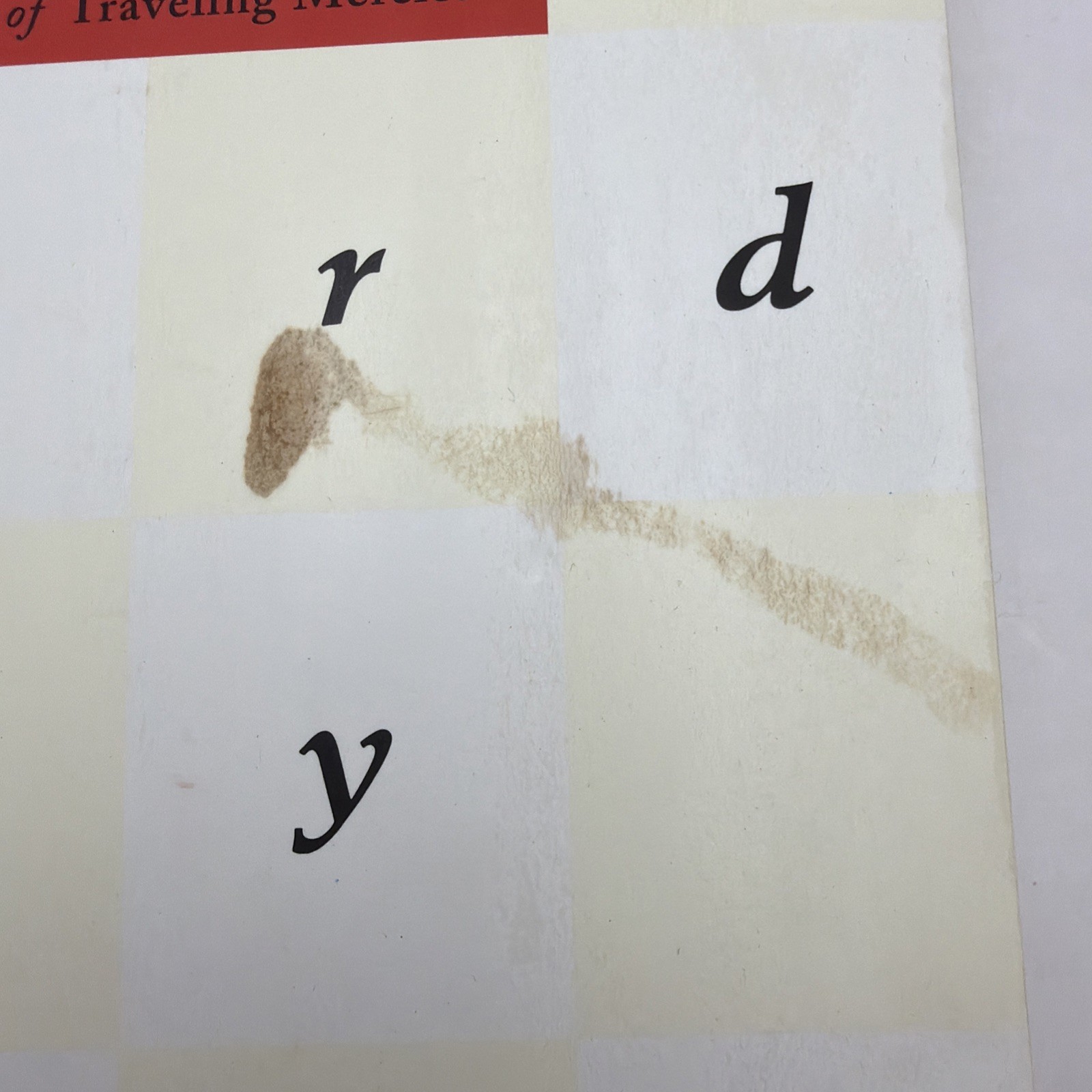 Bird by Bird : Some Instructions on Writing and Life by Anne Lamott (1995, Trade