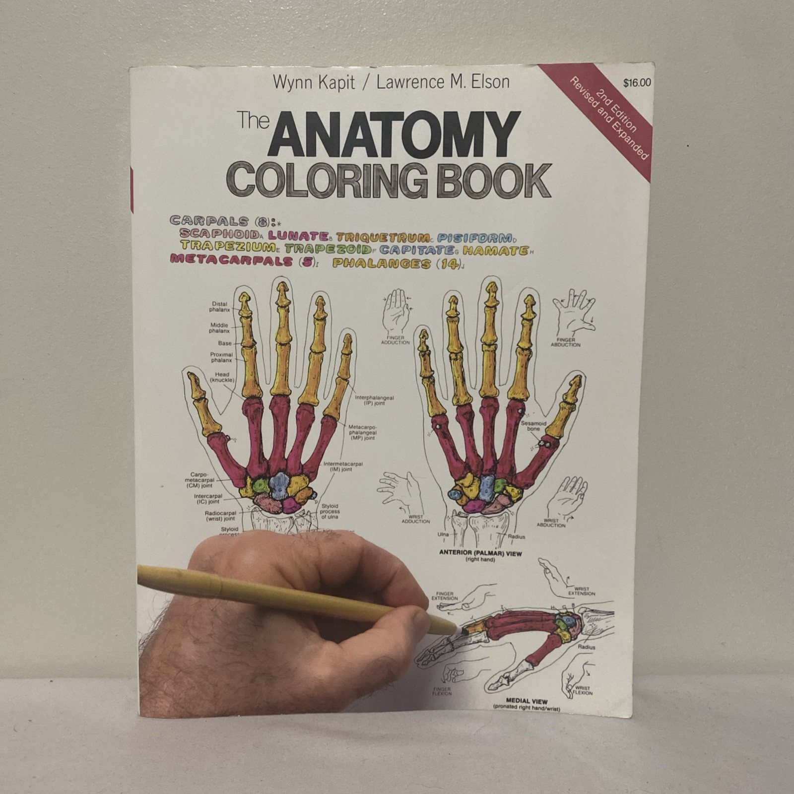 The Anatomy Coloring Book By Wynn Kapit & Lawrence M. Elson 2nd Edition