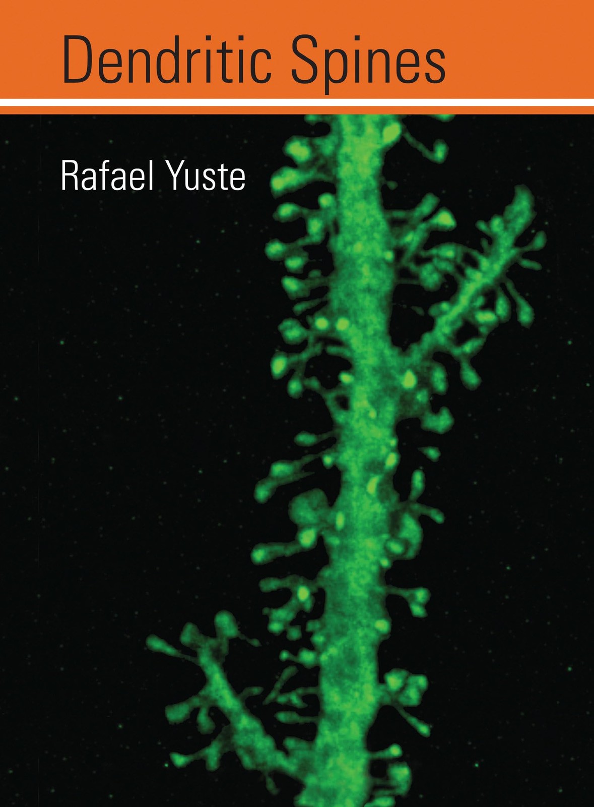 Dendritic Spines, Yuste, Rafael, Very Good Book