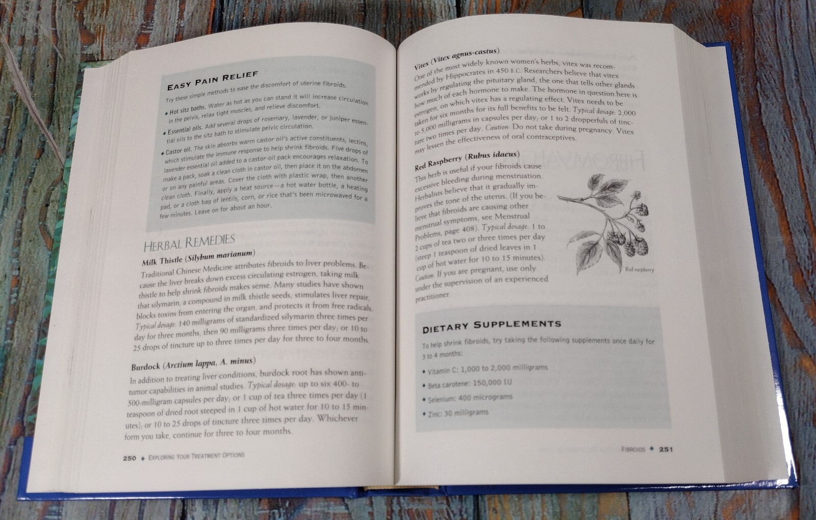 The Herbal Drugstore by Linda B. White, M.D. & Steven Foster (2000, Hardcover)
