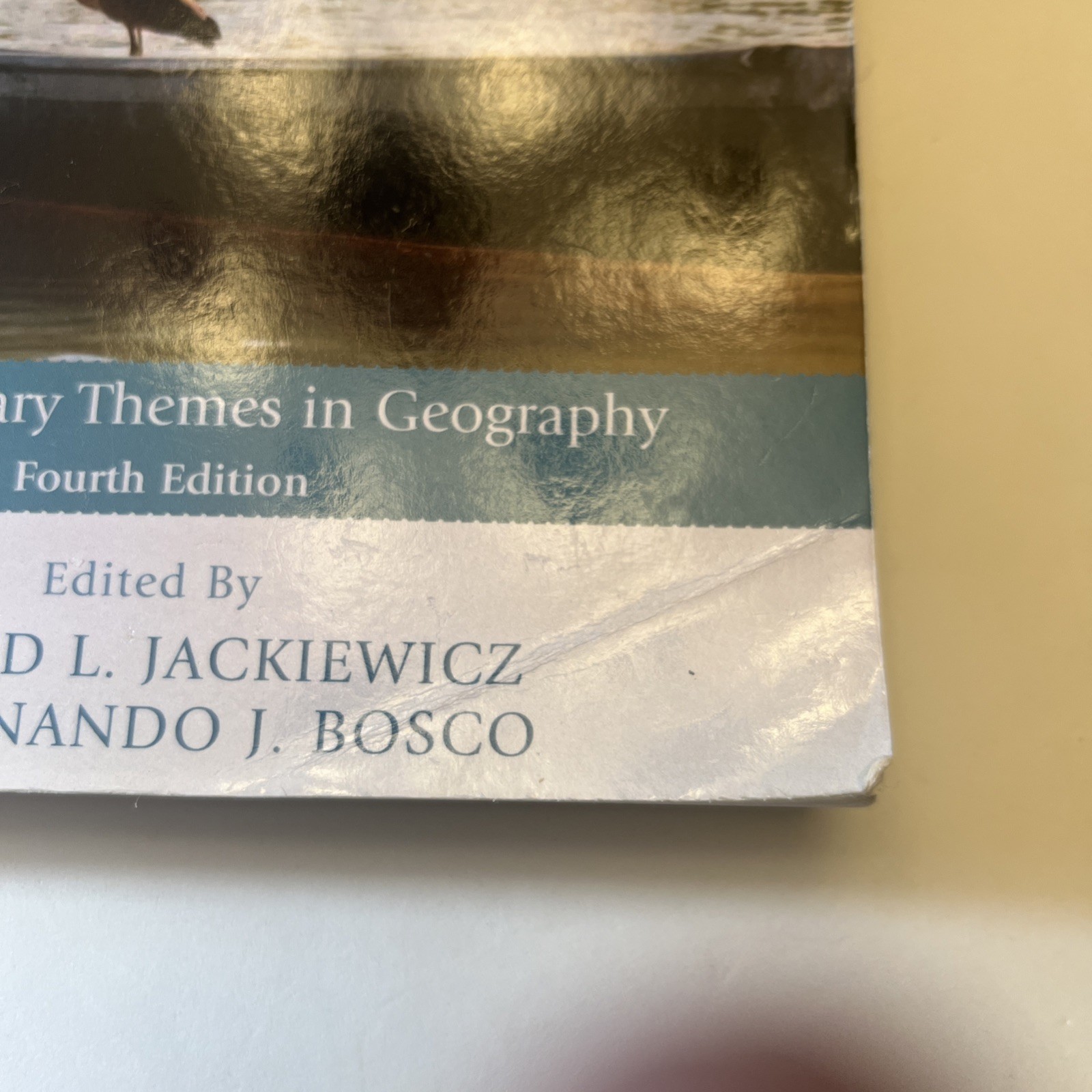 Placing Latin America : Contemporary Themes in Geography, Paperback by Jackie…