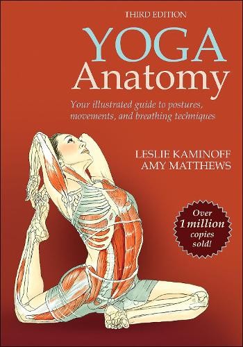 Leslie Kaminoff Amy Matthews Yoga Anatomy (Paperback) (UK IMPORT)