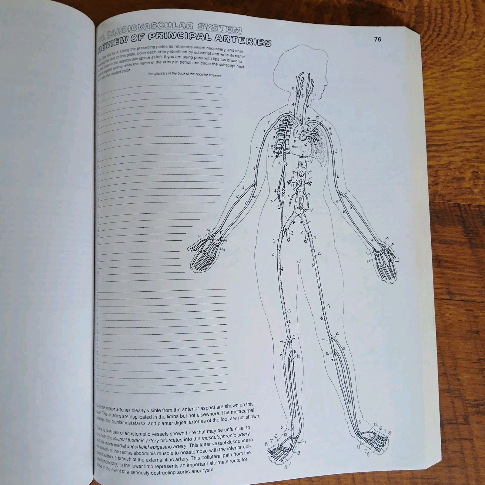 Lot Of 3 Science Coloring Books Biology Anatomy Zoology Vintage