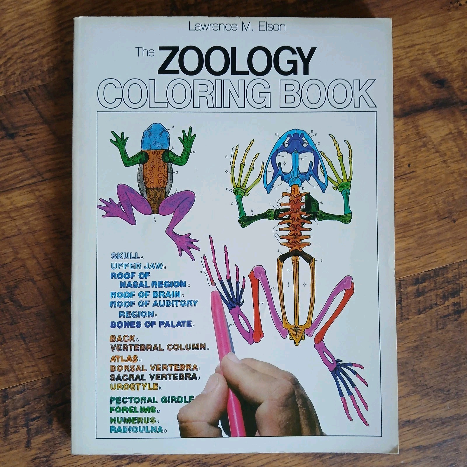 Lot Of 3 Science Coloring Books Biology Anatomy Zoology Vintage